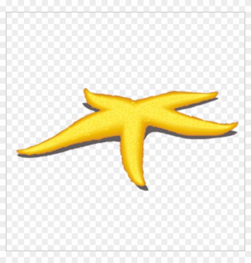 Starfish Benthic Zone Yellow - Starfish Benthic Zone Yellow #705015
