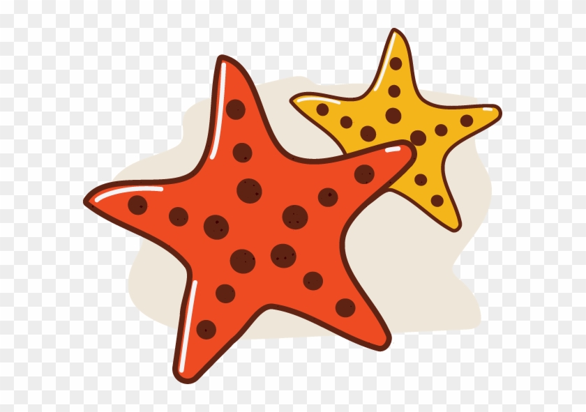 Starfish Tourism Clip Art - 海星 Png #705416
