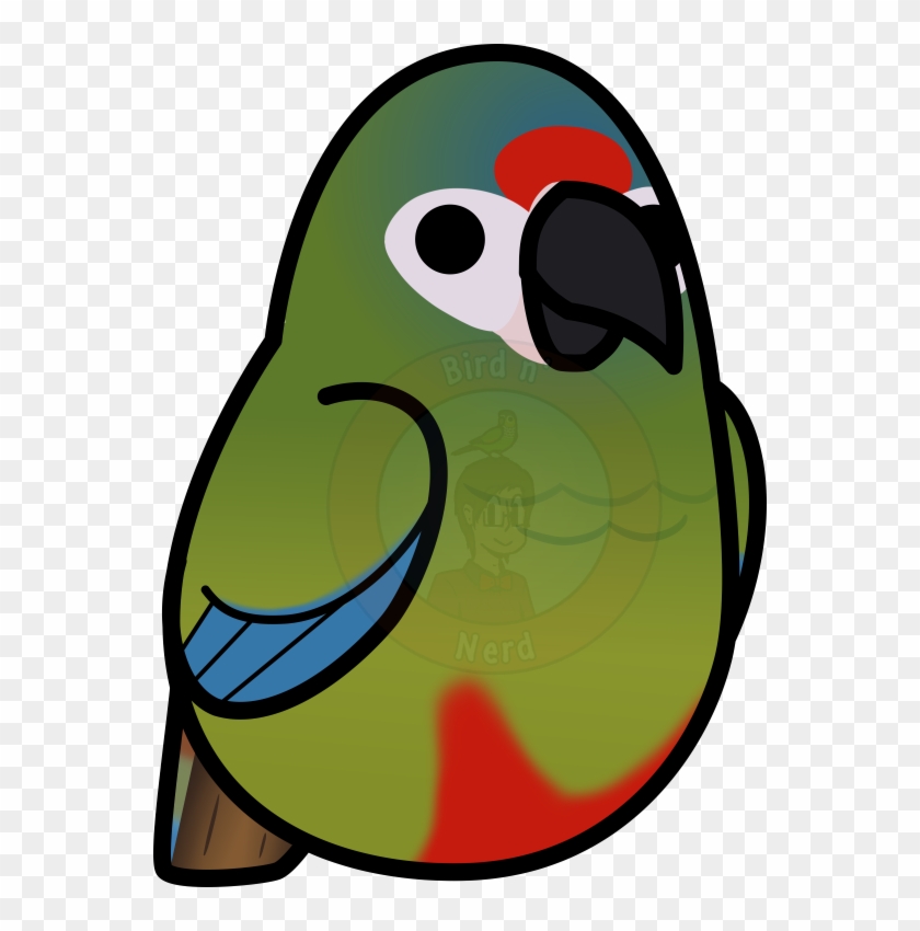 Twitter Website Redbubble Bird's Facebook Page - Blue-winged Macaw #705633