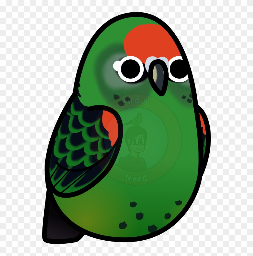 Twitter Website Redbubble Bird's Facebook Page - Red-fronted Parrot #705659