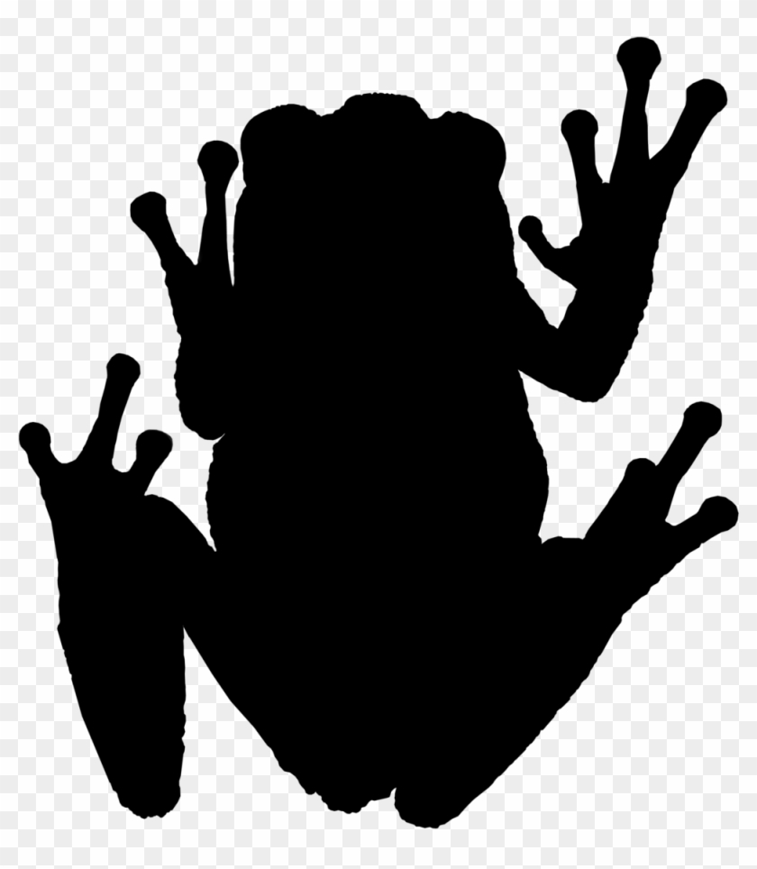 Silhouette Of A Tree Frog By Bufothetoad1 - Silhouette #707878