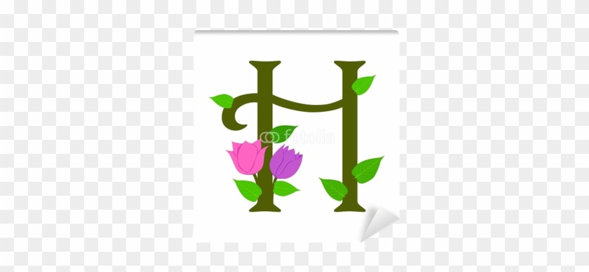 H #708784
