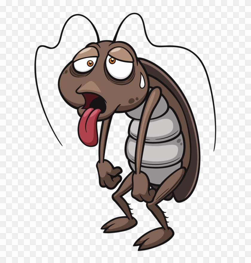 Cockroach Cartoon Stock Photography Clip Art - Con Gian Hoat Hinh #709436