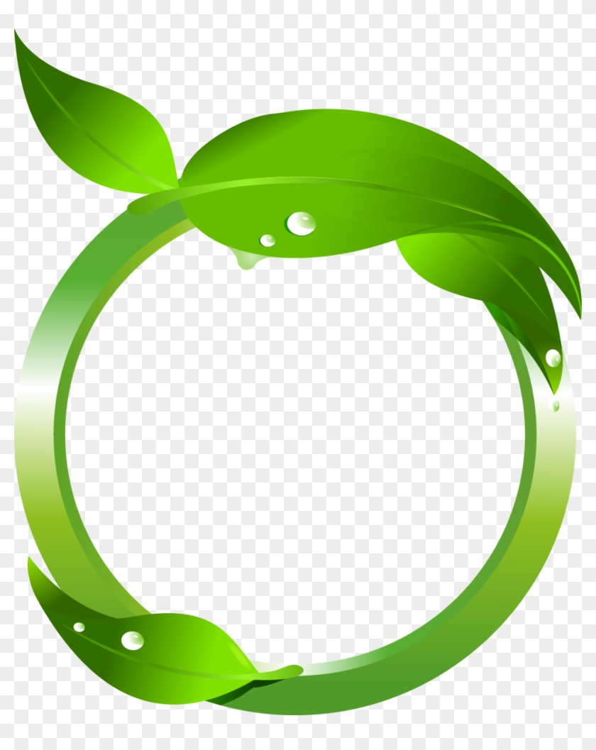 Maple Leaf Green Clip Art - Leafs Vector Png #709759