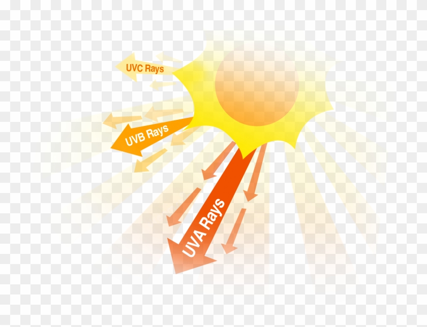 Good And Bad Effects Of Uv Rays, You Choose - Caring For All Life Under Sun #709789