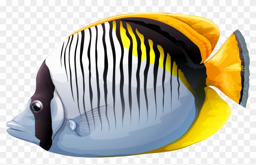 Chaetodon Fish Png Clipart Image - Fishclipart #710393