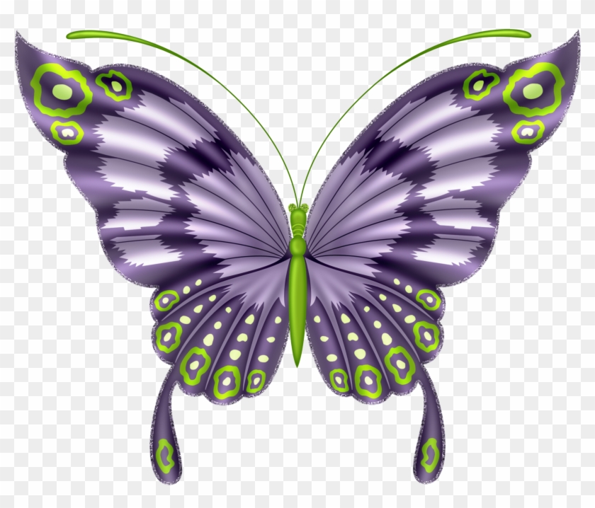 Butterflies°• - ‿✿⁀ - Butterfly Beautiful Art #711732