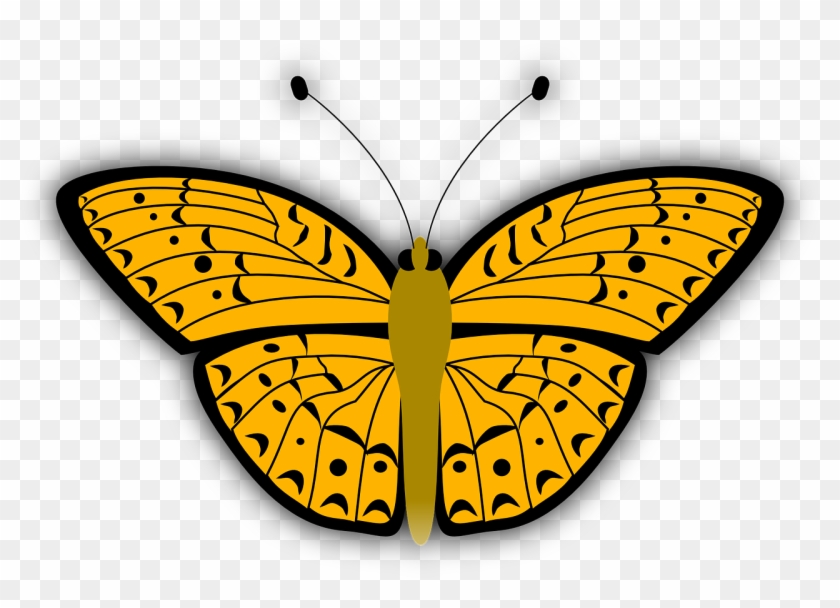 Yellow Butterfly Clipart - Orange Butterfly Shower Curtain #711800