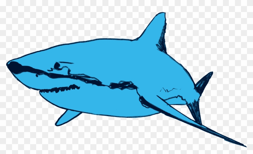 Shark - Shark #713360