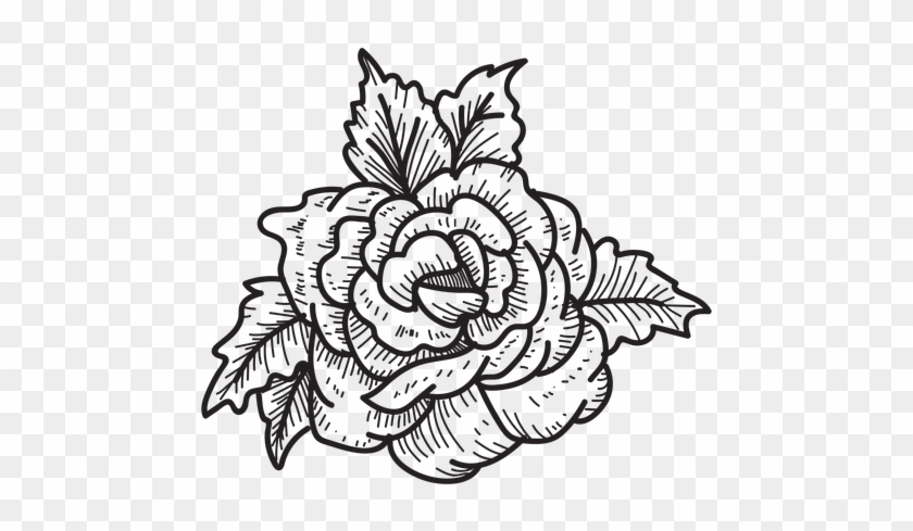 Blooming Rose Head Sketch Icon Flower - Flower Drawing Transparent Background #714355