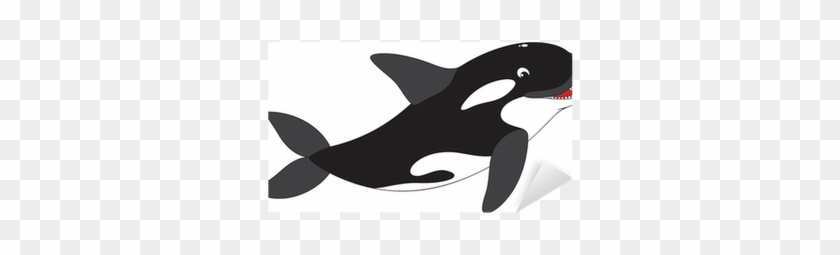 Killer Whale Clip Art #714870