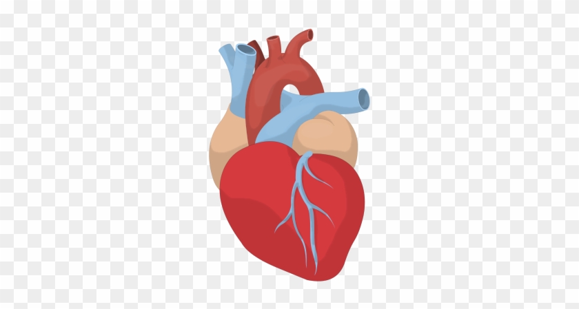 Heart #715192