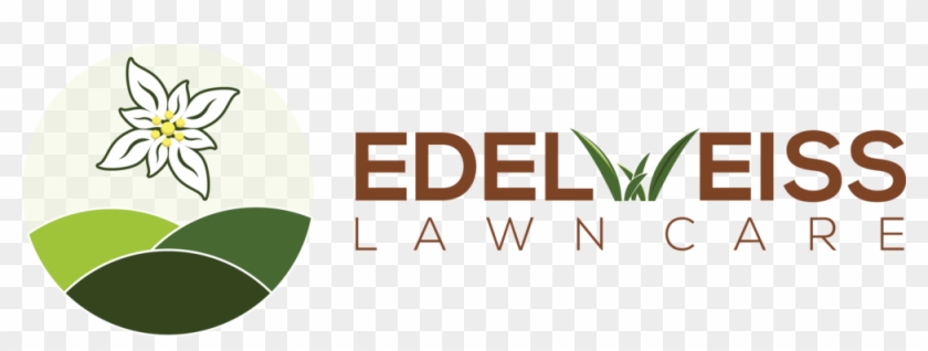   Lawn #715529