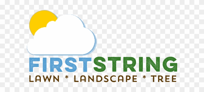 Landscape #715546