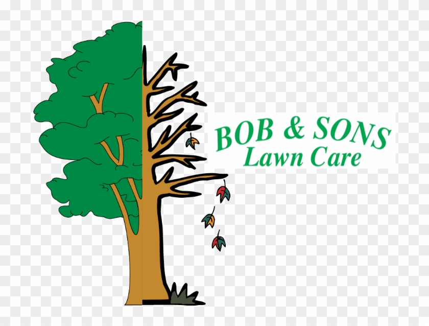 Lawn #715562