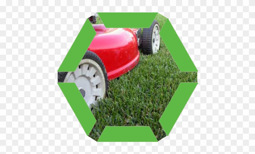 Lawn Mowing - Lawn Care For Dummies, Mini Edition Ebook #715652