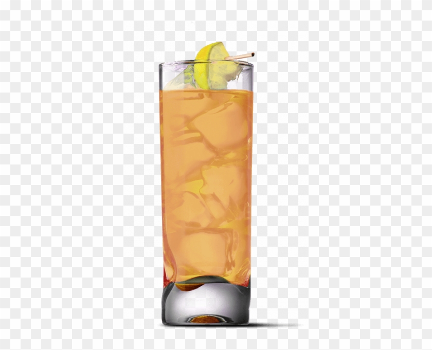 Green Ginger - Highball #715847