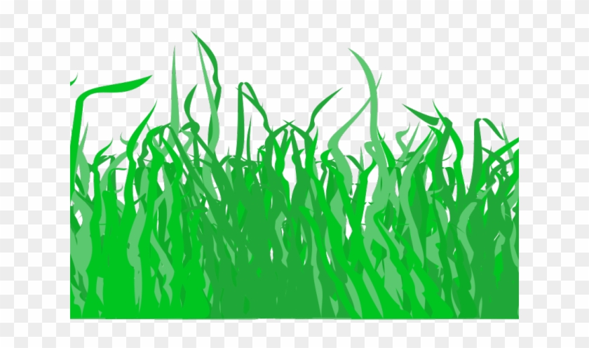 Lawn Clipart Divider - Lawn #715855