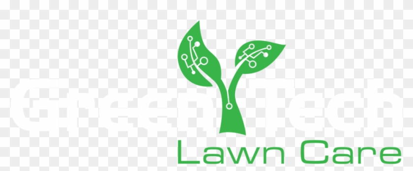   Lawn #715900