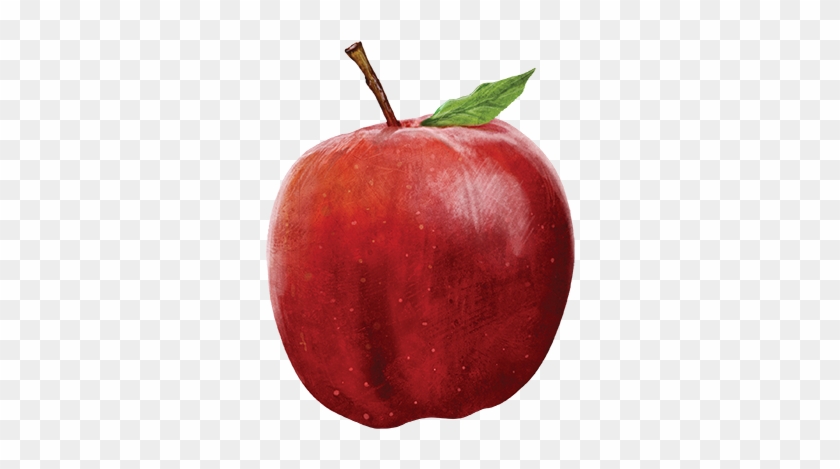 Apple - Apple #716470