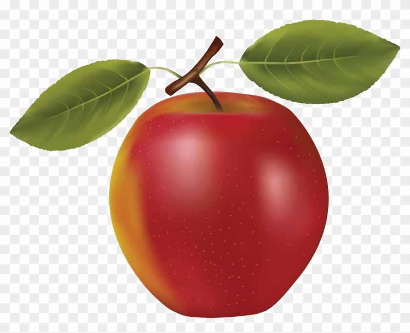 Fruits #716835