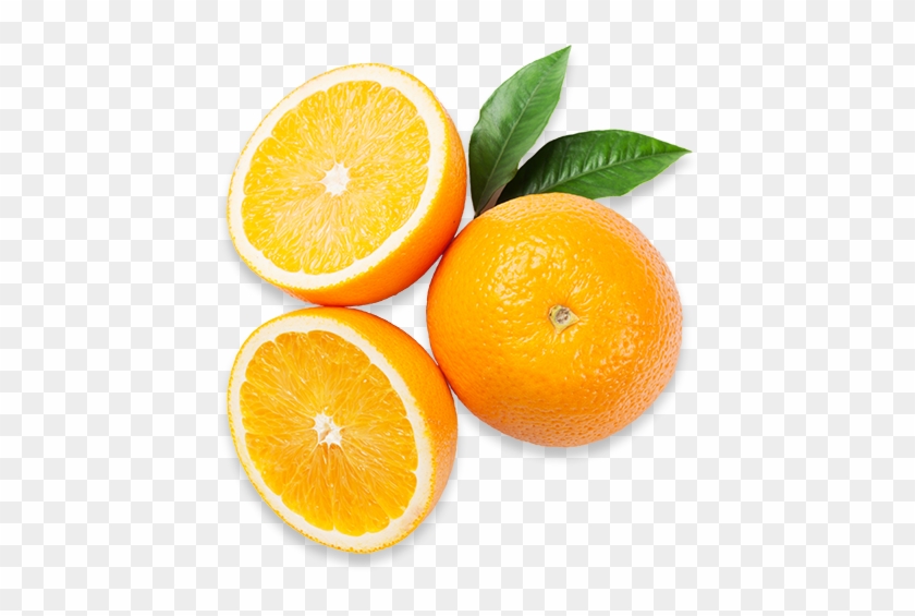 Oranges, Americas Breakroom - America's Breakroom #716999