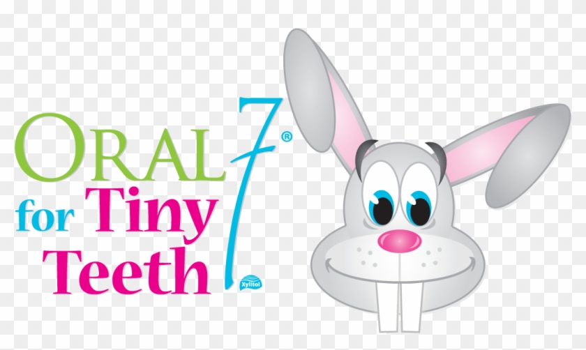 In A Nutshell - Looking After Your Teeth #717349
