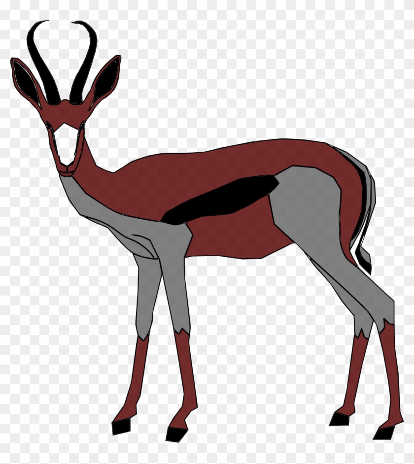 Open - Springbok #717470