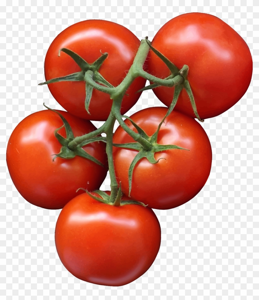 Tomatos Clipart - Tomatos Clipart #717610