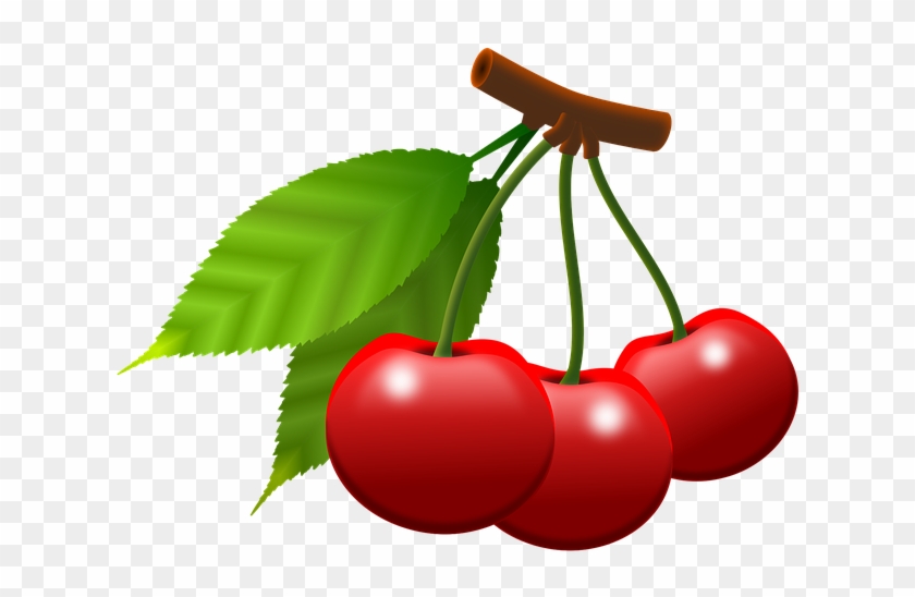 Cherries Cartoon 14, - 열매 일러스트 Png #717718