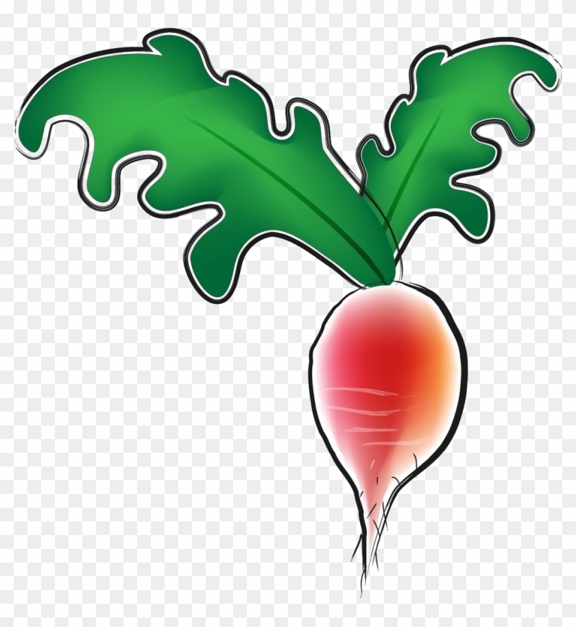 Daikon Vegetable Clip Art - Daikon Vegetable Clip Art #718052