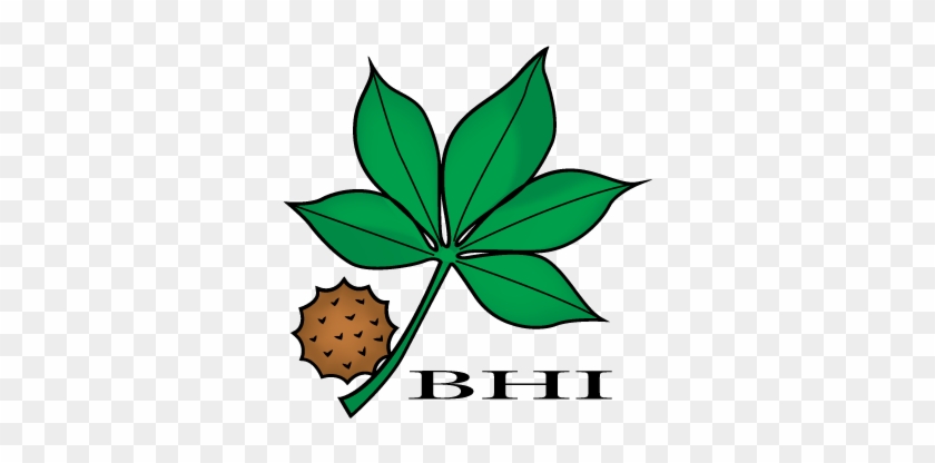Your Buckeye Home Inspector - Ohio Buckeye #719469