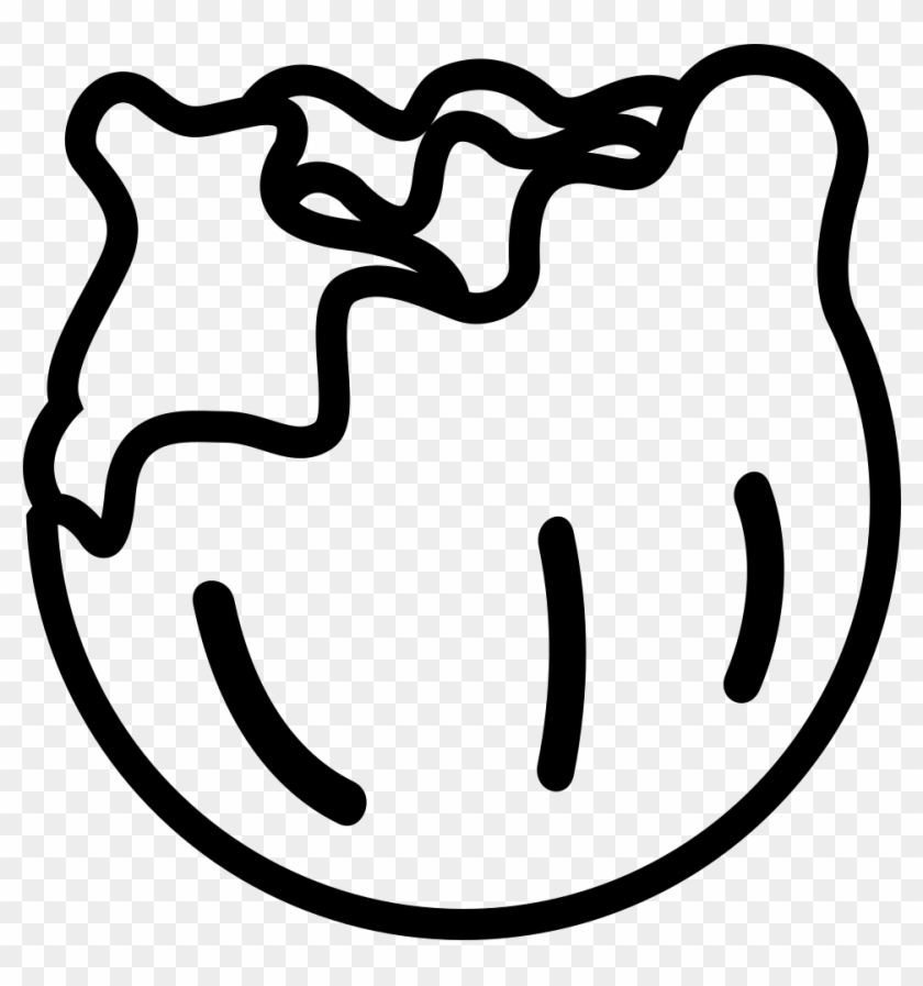 Png File - Cabbage Outline #719544