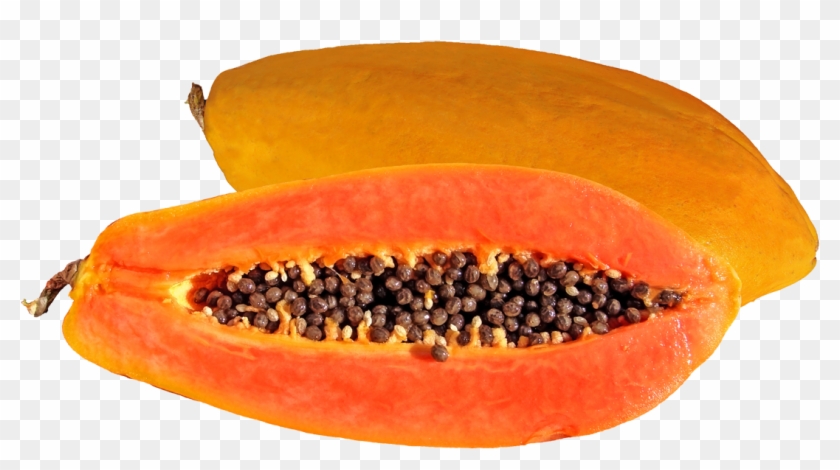 St Nicholas Center Traditional - Hirt's Gardens Khak-dam Papaya Tree - Carica Papaya #720596