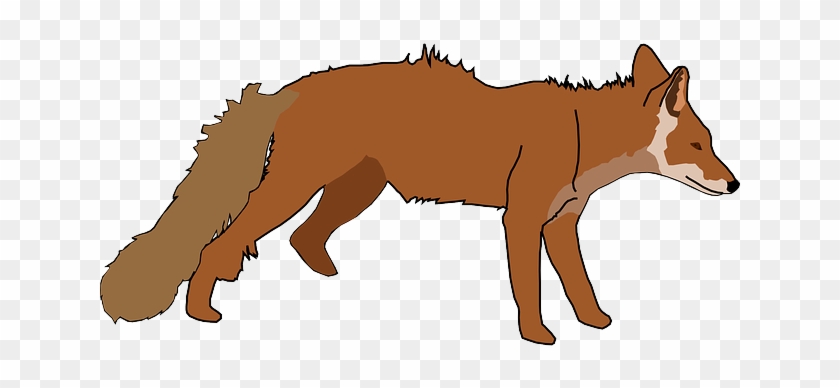Tail White, Orange, Fox, Long, Standing, Animal, Tail - Fox Clip Art #720767