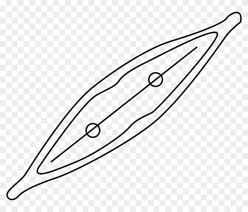 Free Diatom - Clip Art #721847