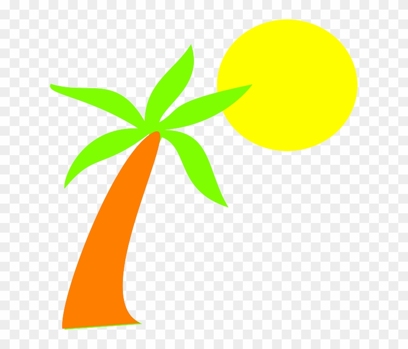322 Tree, Image, - Stock.xchng #722261