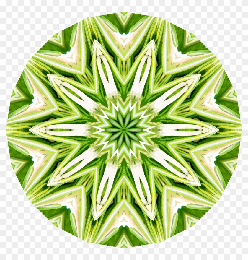 Rosemary Kaleidoscope 1 - Icon #723841
