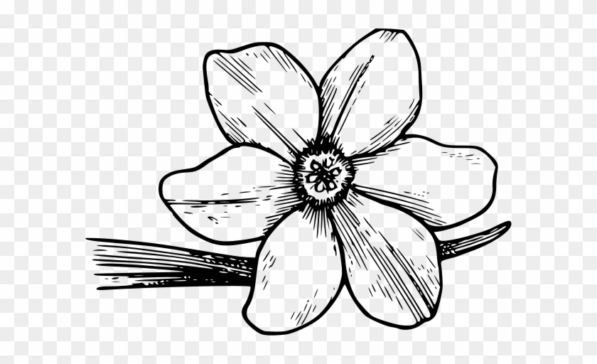 Flower Clipart Design - Violet Flower Coloring Page #134327