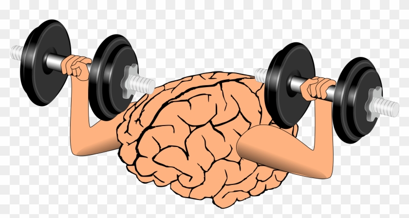 Brain Training Clip Art - Brain Training Png #138145