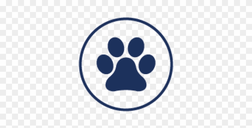 Dog #725798