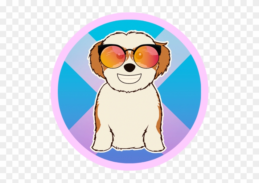 Shih Tzu #726224