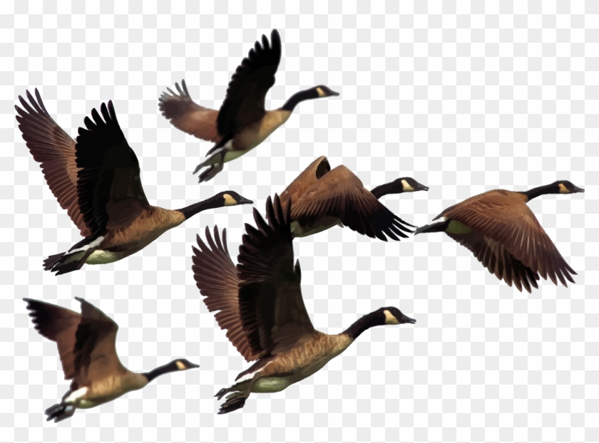 Clipart - Clipart #727831