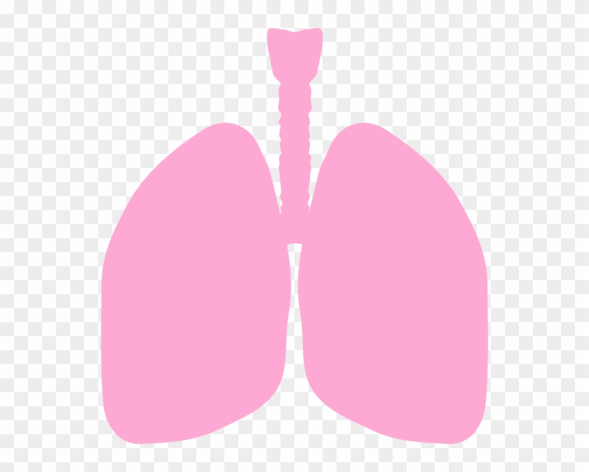 Lungs Clip Art At Clker - Clip Art Lungs #728990