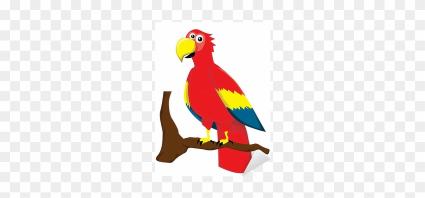 Parrot #730439