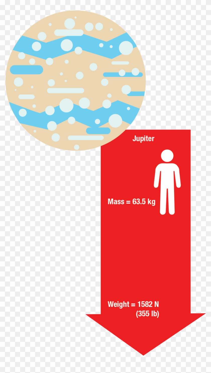 Weight #731430