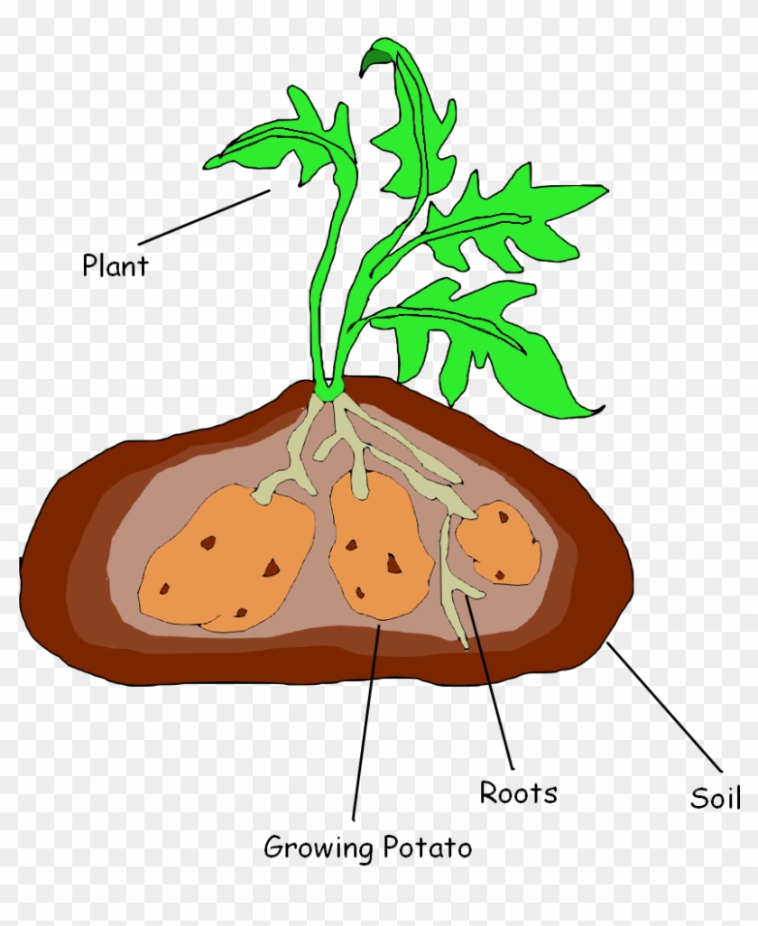 Tree Clip Art - Illustration #732242