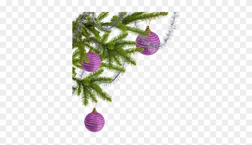 Tree And Ornaments - Еловая Ветка #732250