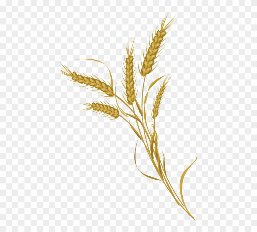 Wheat Bundle Clip Art Black And White Download - Wheat Vector Free Download #732588