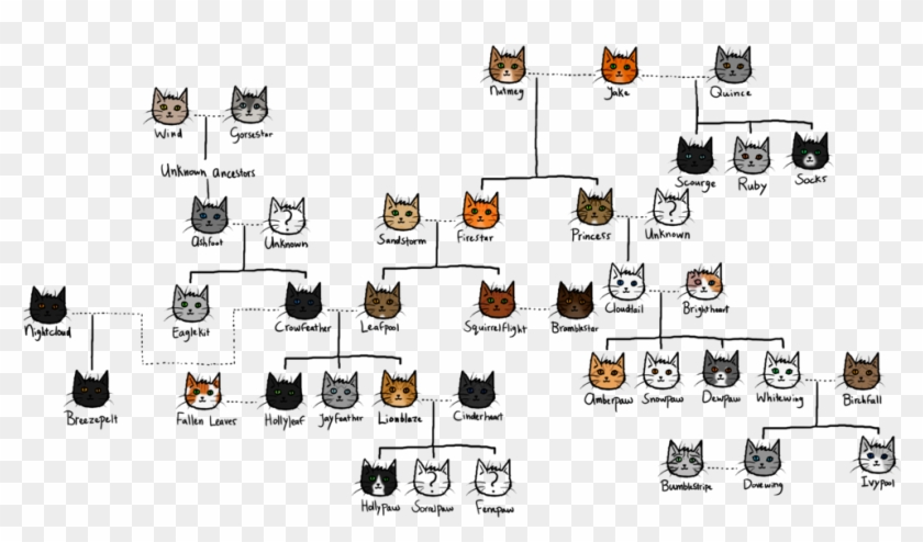 The Gallery For > Warrior Cat Spottedleaf - Brambleclaw Family Tree #733203